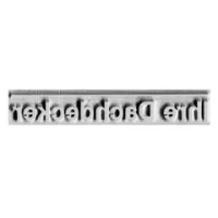 Stempelplatte Trodat Printy 4813