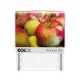 Colop Printer 30 neu - weiß