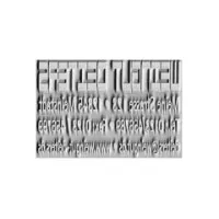 Stempelplatte Colop Expert 2300