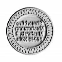 Ersatzplatte Colop Pocket Stamp 30R Ø 32 mm Ersatzplatte Colop Pocket Stamp 30R Ø 32 mm